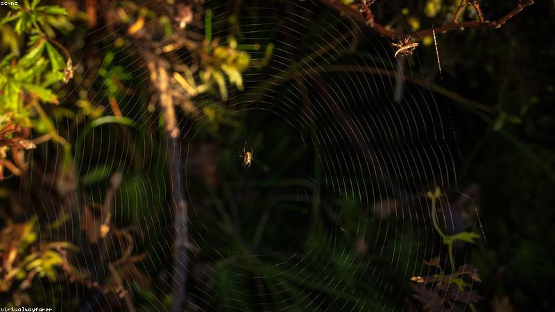 Jasa Desain Website Profesional